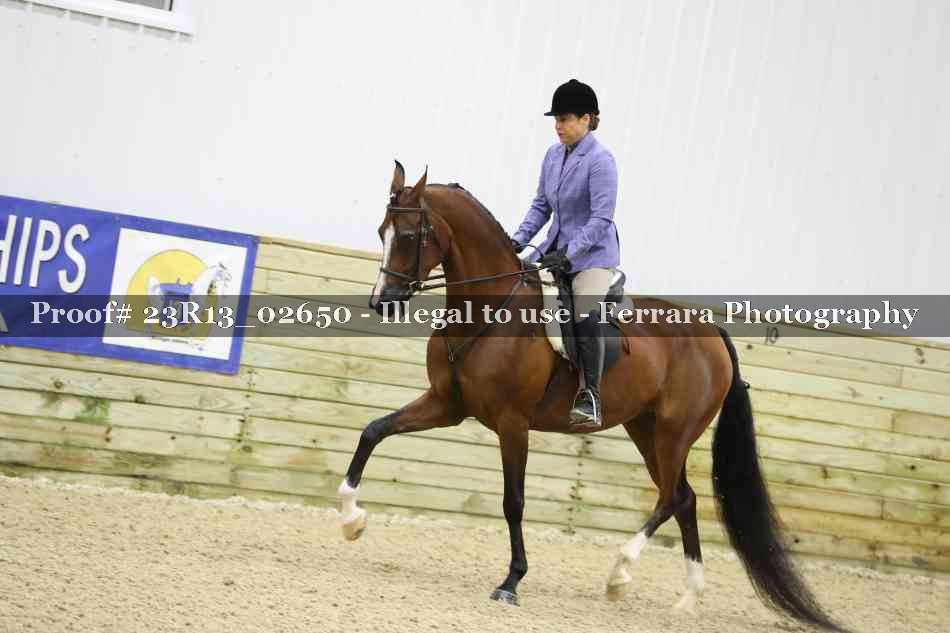 Proof 23R13_02650