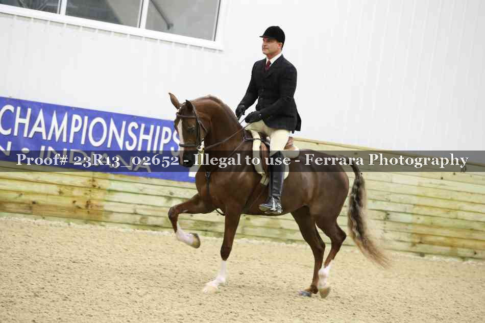 Proof 23R13_02652