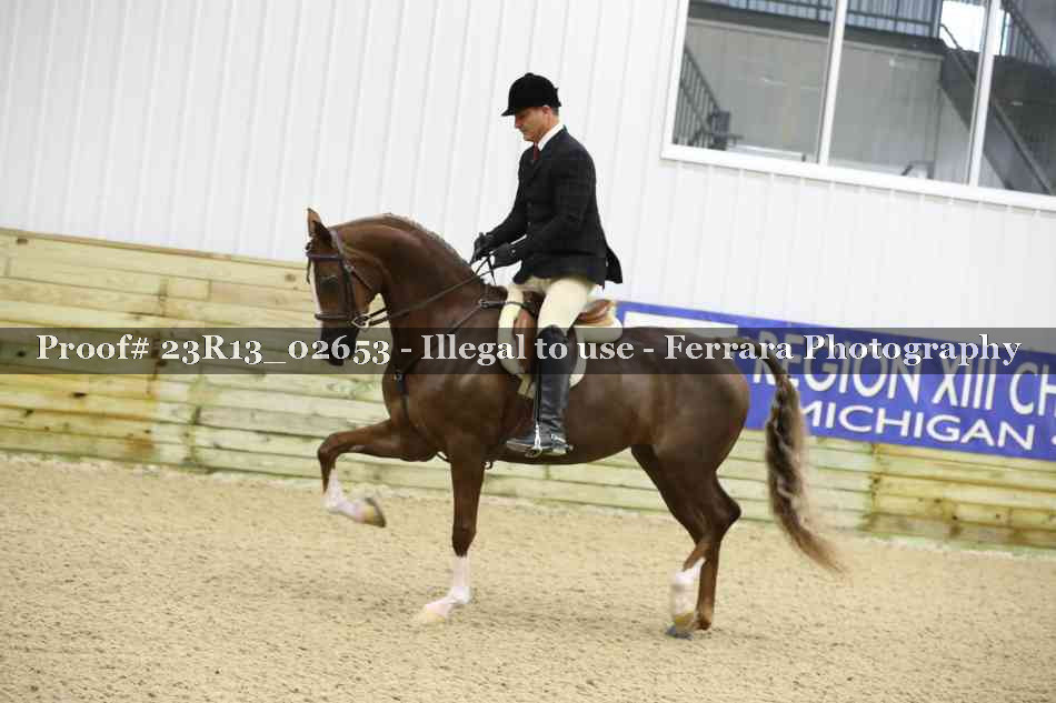 Proof 23R13_02653