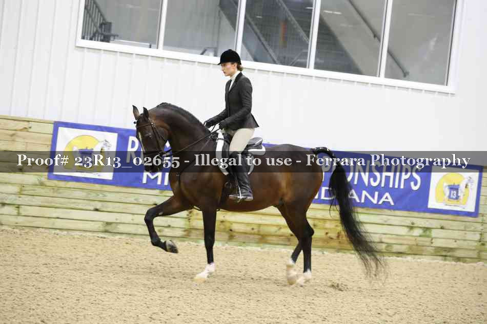 Proof 23R13_02655