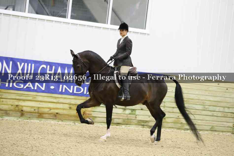 Proof 23R13_02656