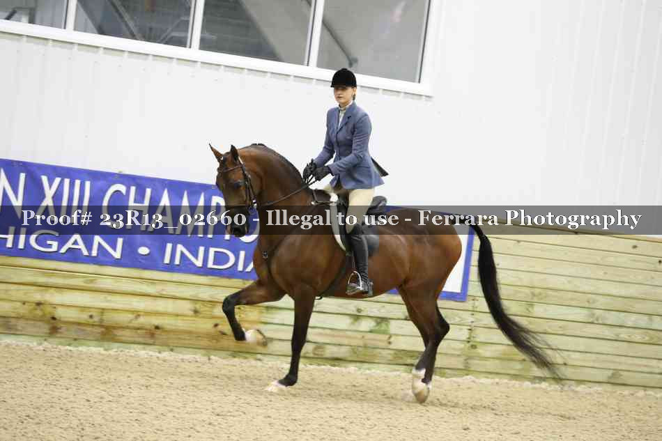 Proof 23R13_02660