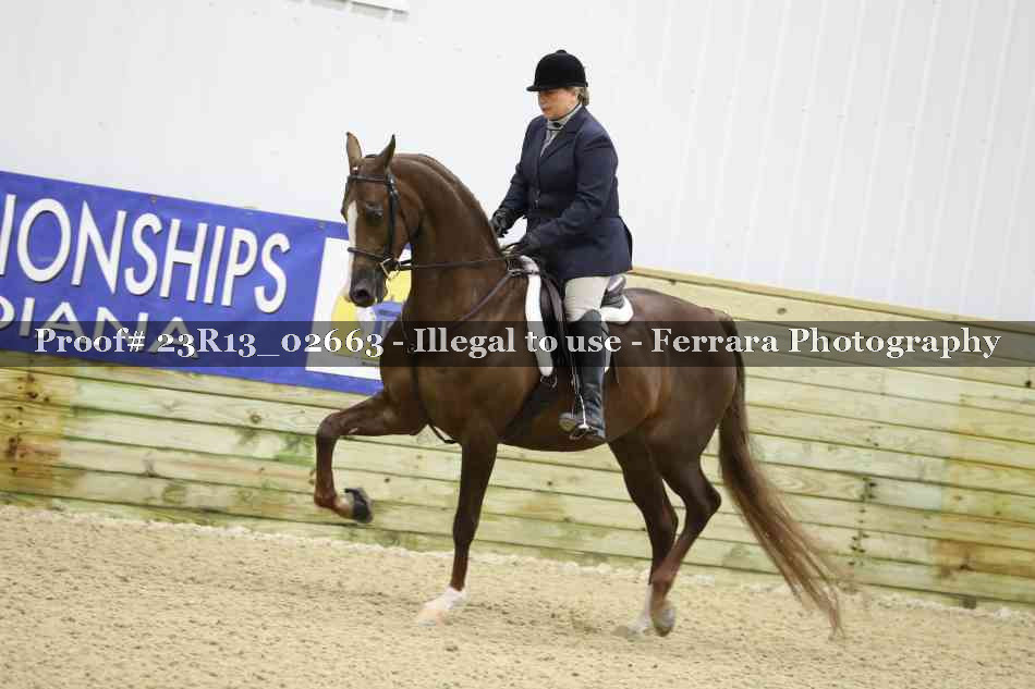 Proof 23R13_02663