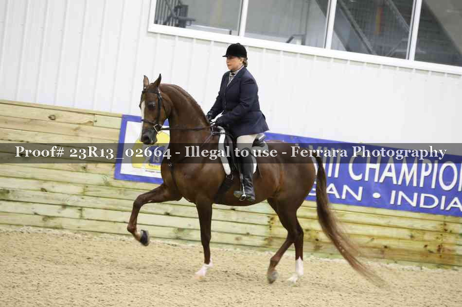 Proof 23R13_02664