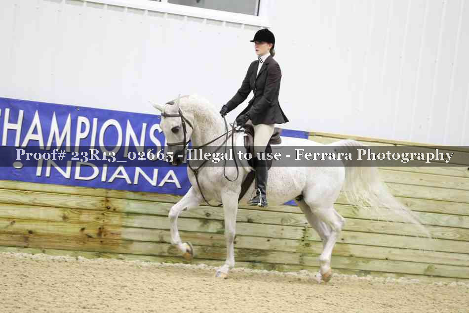 Proof 23R13_02665