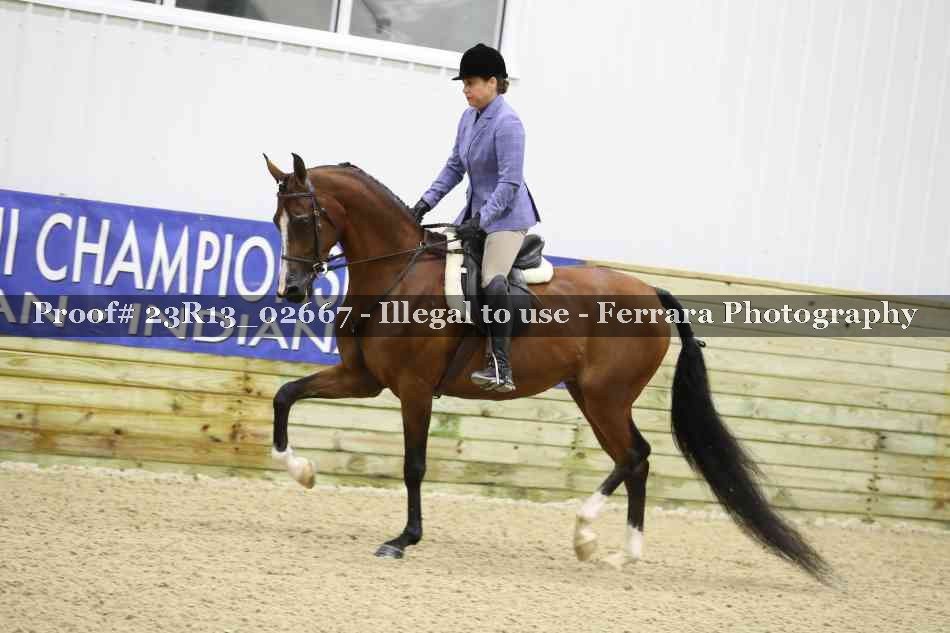 Proof 23R13_02667