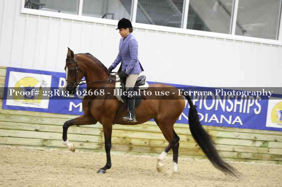 Proof 23R13_02668