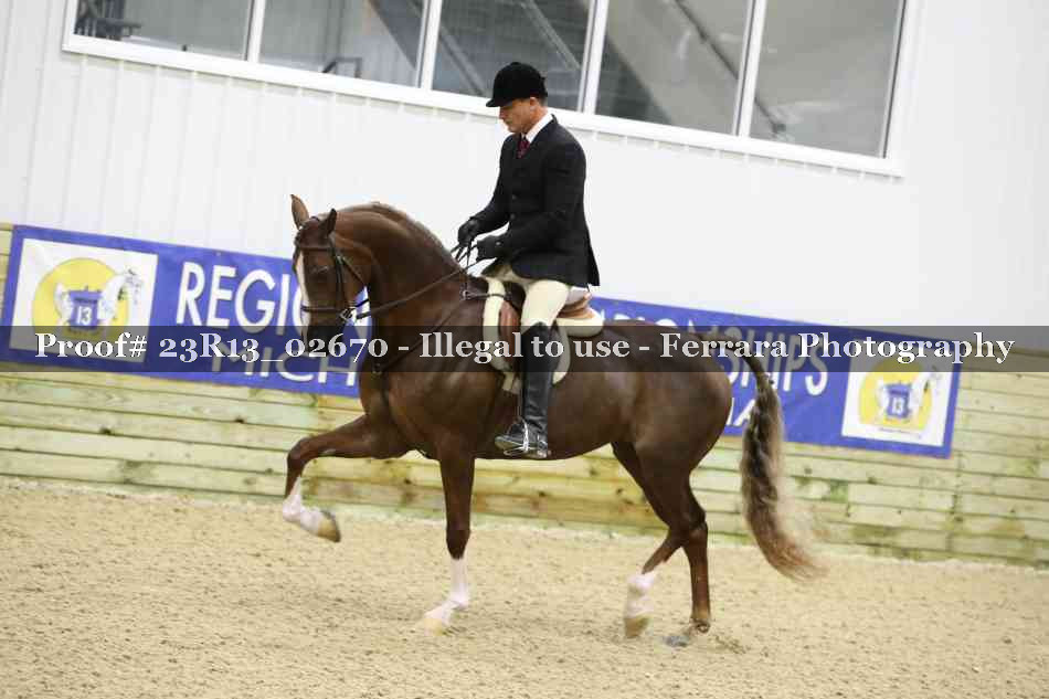Proof 23R13_02670
