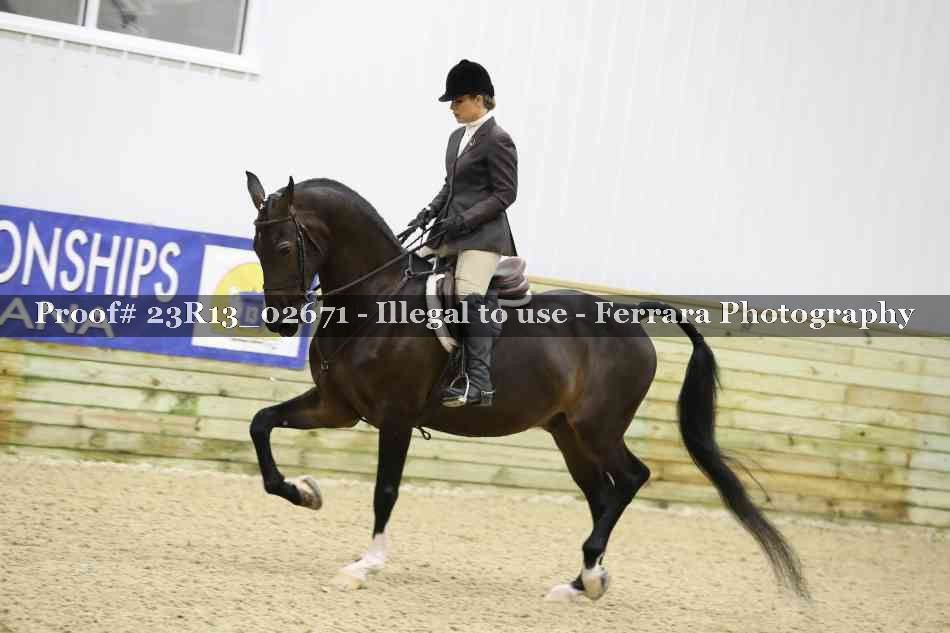 Proof 23R13_02671