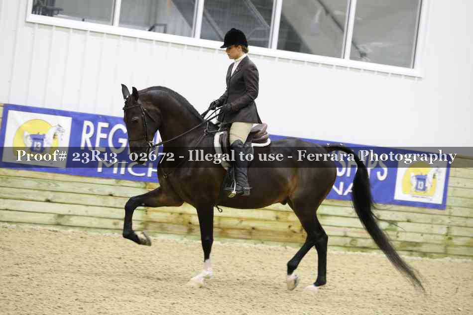 Proof 23R13_02672