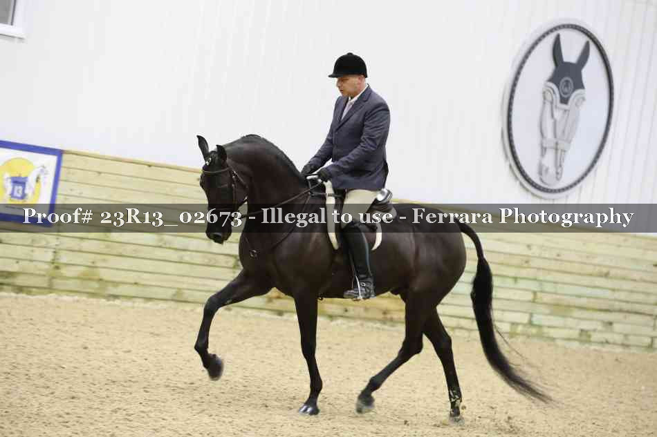 Proof 23R13_02673