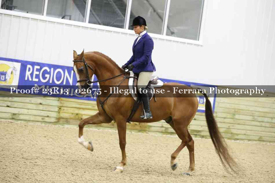 Proof 23R13_02675