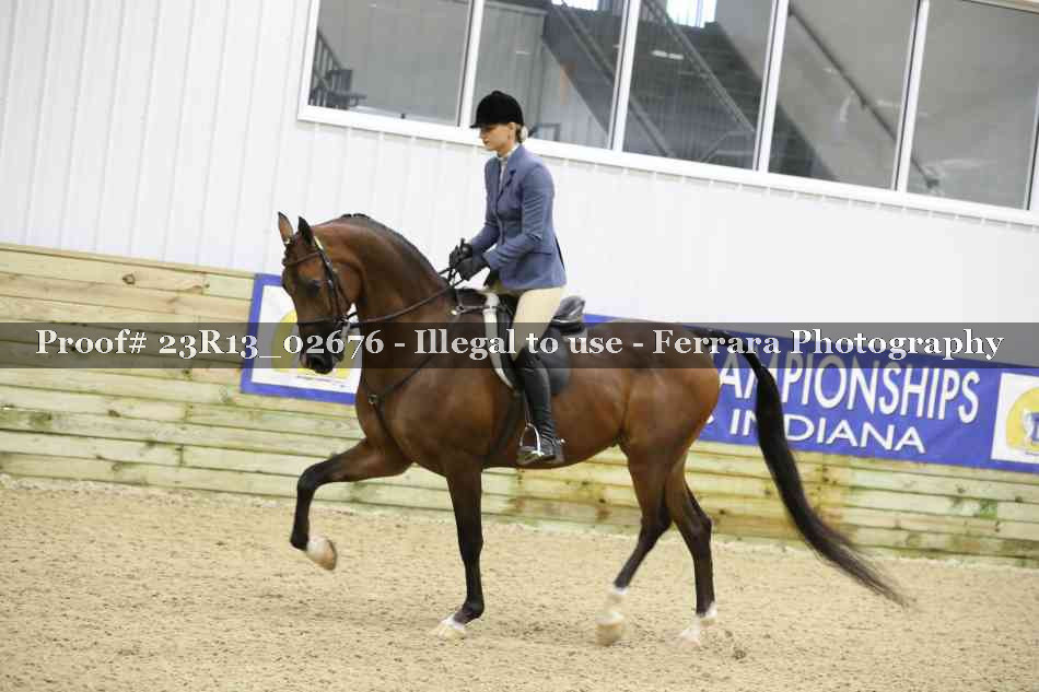 Proof 23R13_02676
