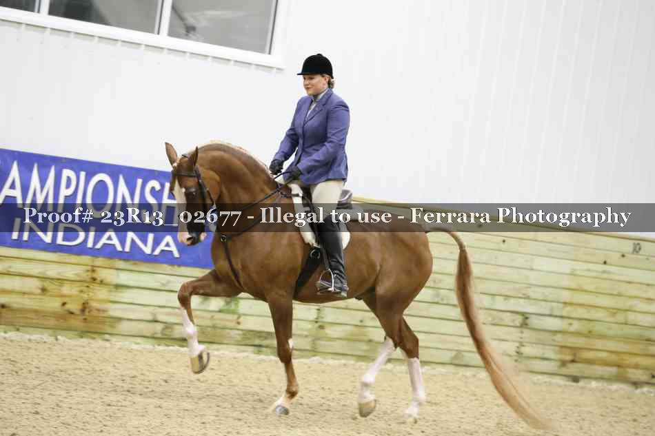 Proof 23R13_02677