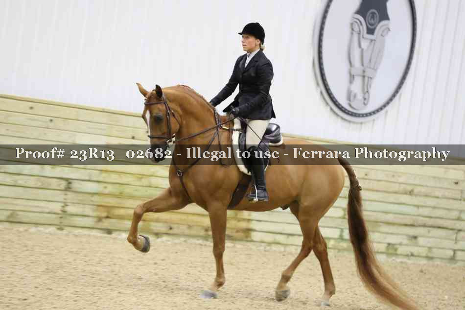 Proof 23R13_02682