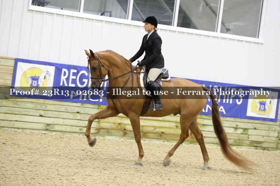 Proof 23R13_02683