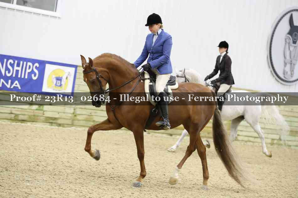 Proof 23R13_02684
