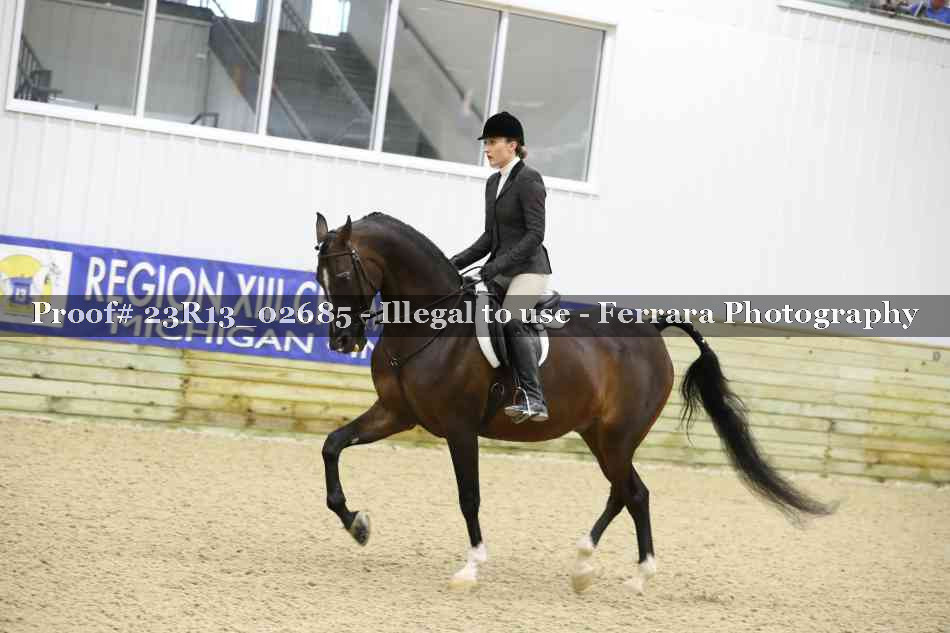 Proof 23R13_02685