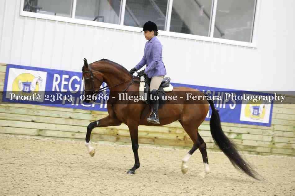 Proof 23R13_02686