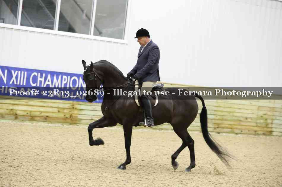 Proof 23R13_02689