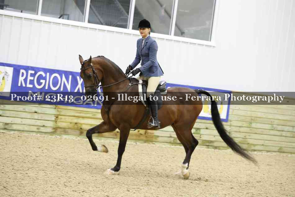 Proof 23R13_02691