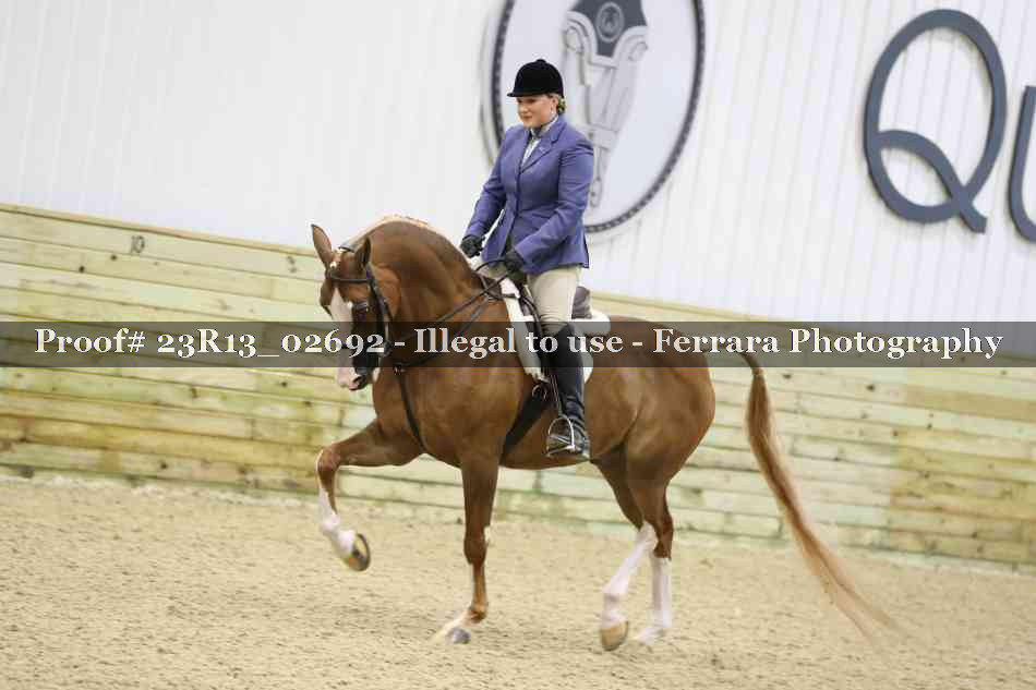 Proof 23R13_02692