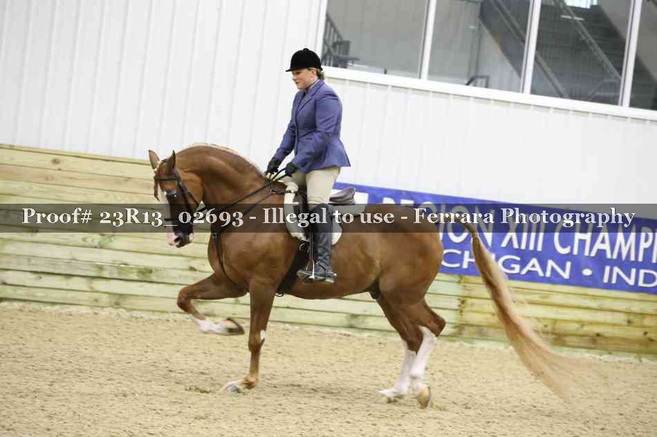 Proof 23R13_02693