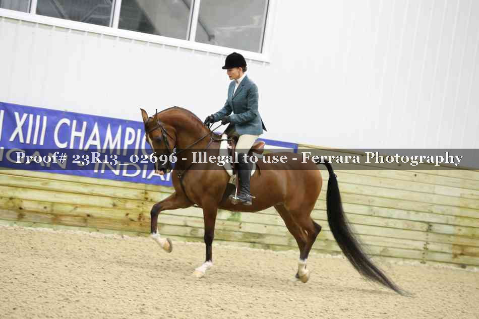 Proof 23R13_02696