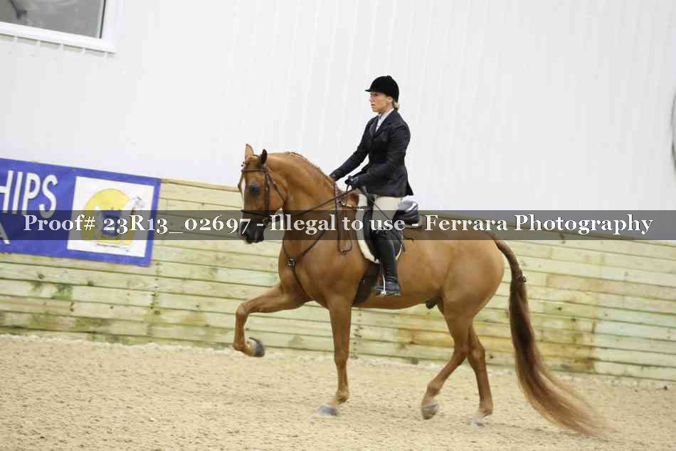 Proof 23R13_02697