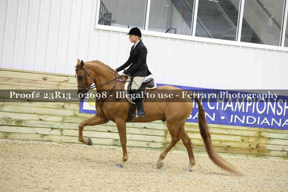 Proof 23R13_02698