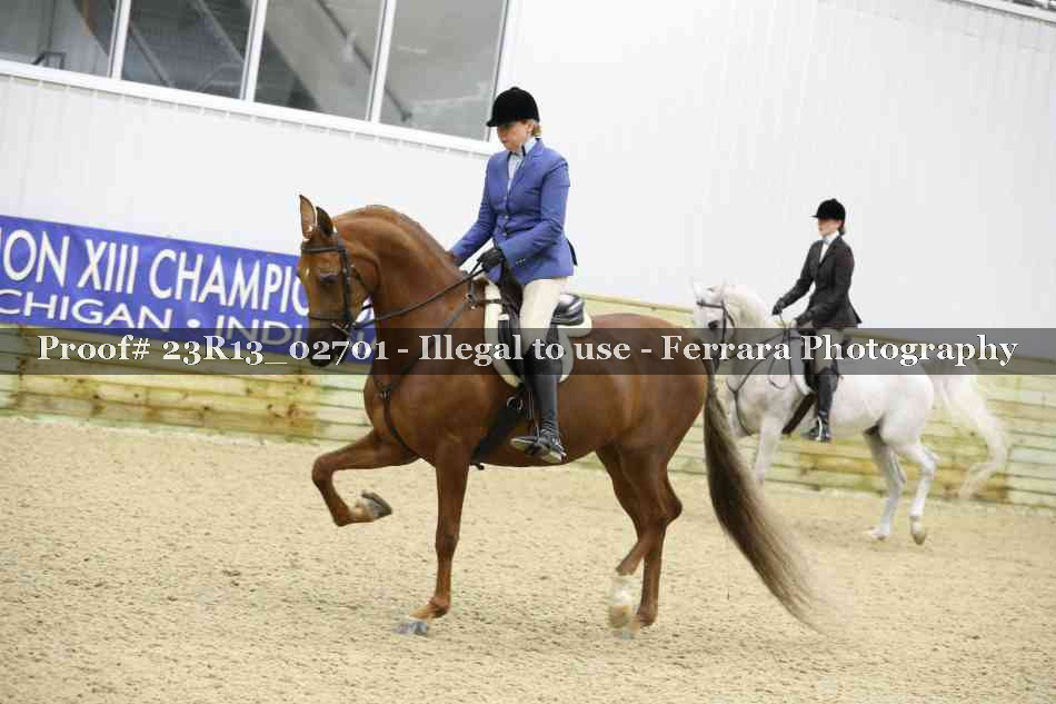 Proof 23R13_02701