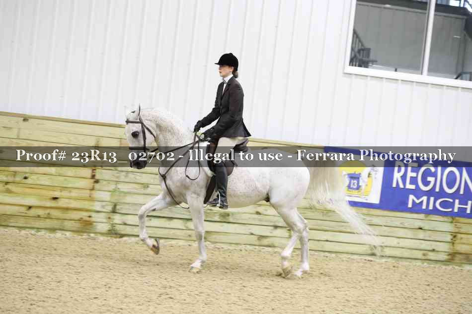 Proof 23R13_02702