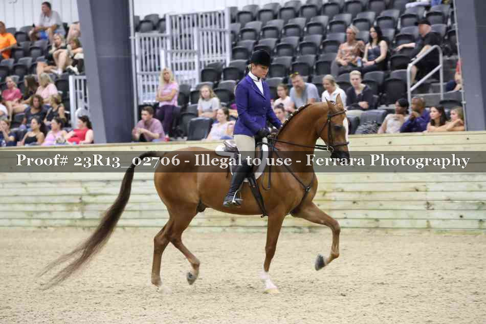 Proof 23R13_02706