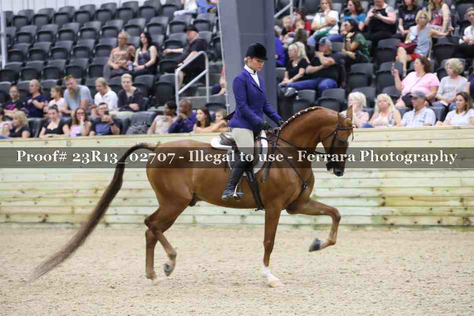 Proof 23R13_02707