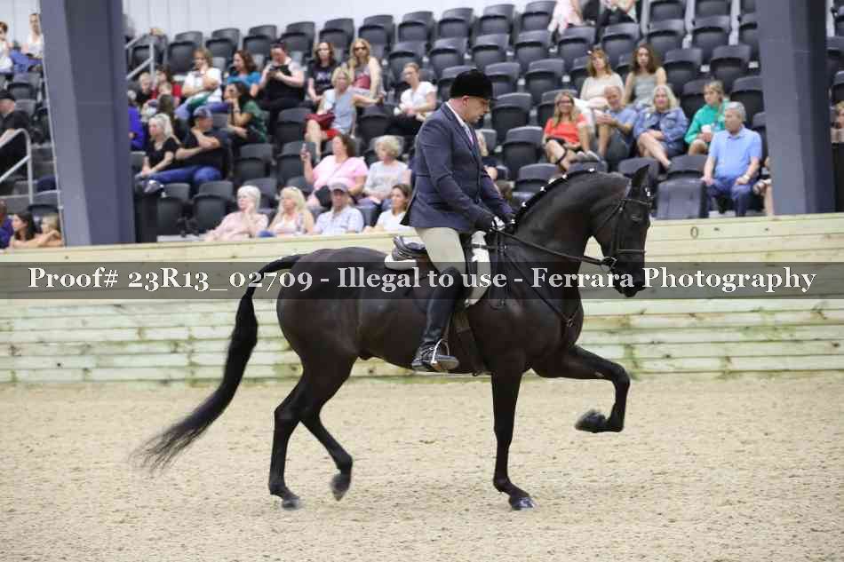 Proof 23R13_02709