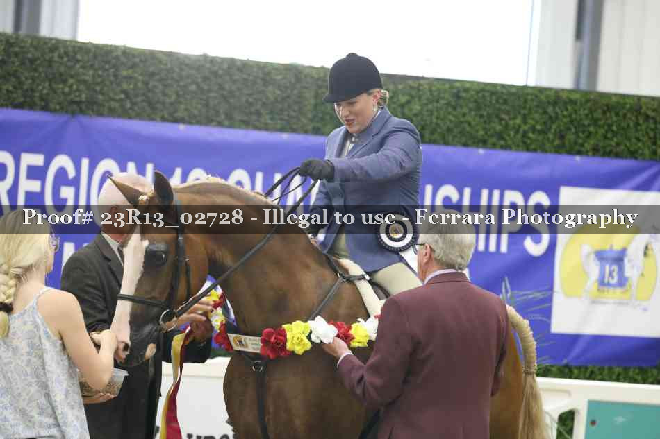 Proof 23R13_02728