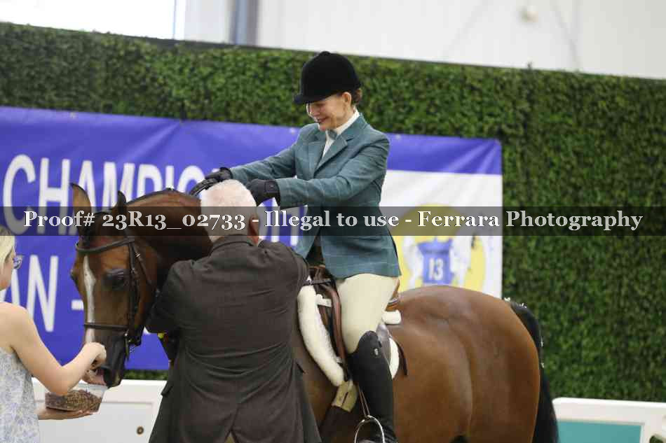 Proof 23R13_02733