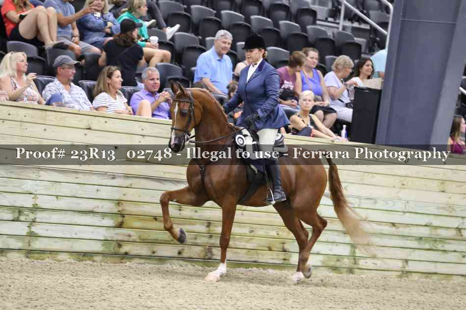 Proof 23R13_02748