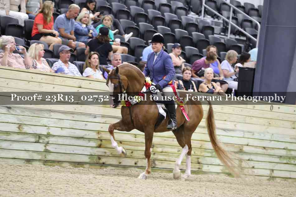 Proof 23R13_02752