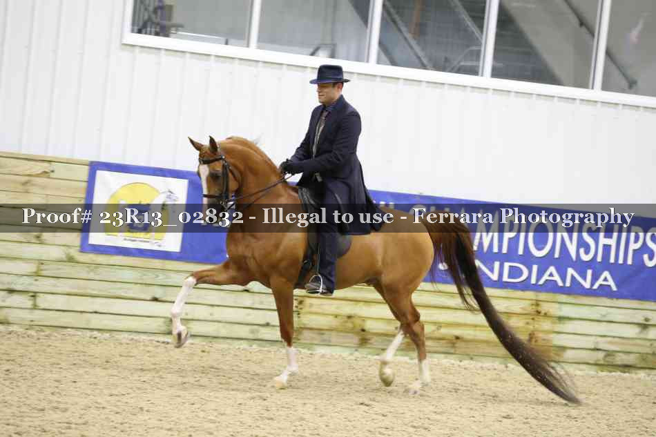 Proof 23R13_02832