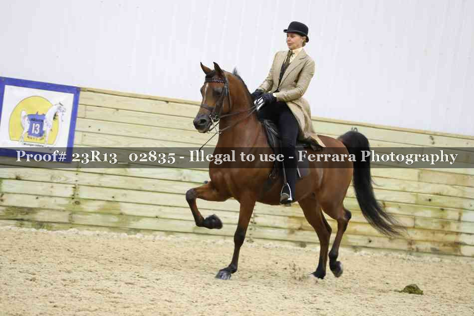 Proof 23R13_02835