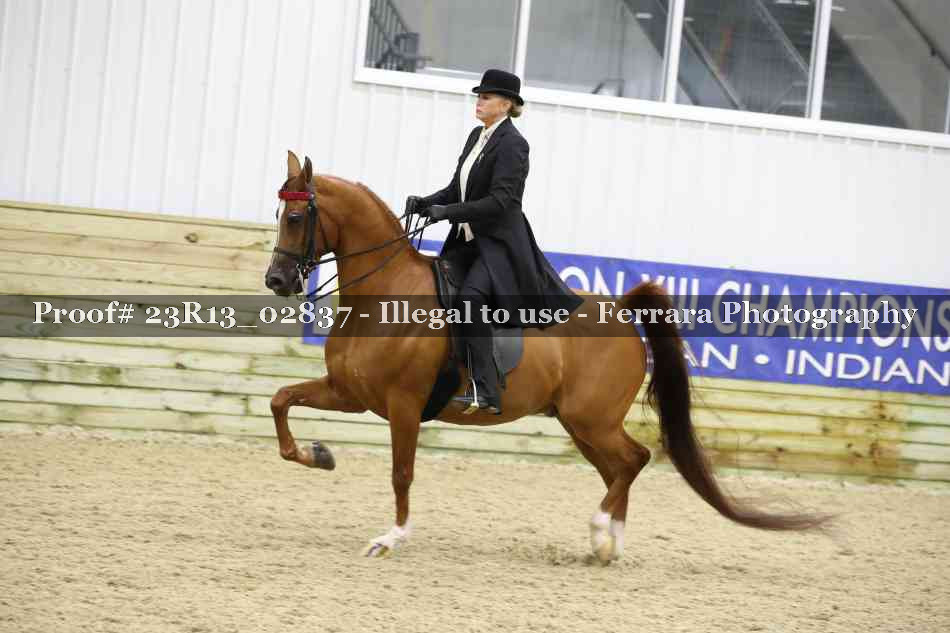 Proof 23R13_02837