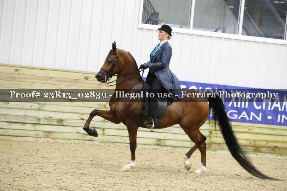 Proof 23R13_02839