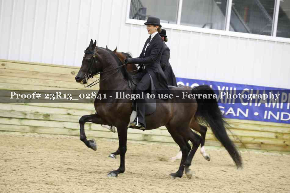 Proof 23R13_02841