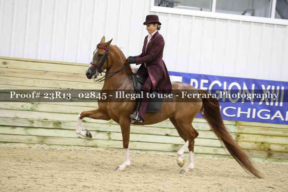 Proof 23R13_02845
