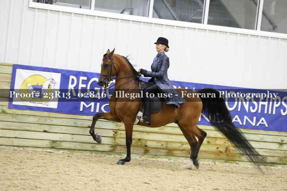 Proof 23R13_02846
