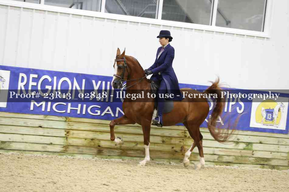 Proof 23R13_02848