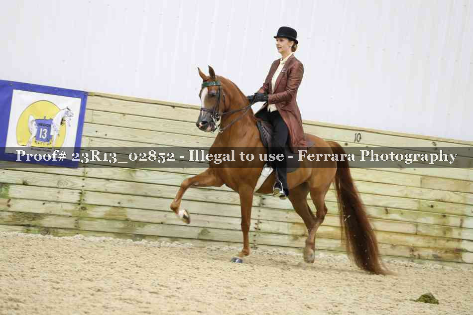 Proof 23R13_02852