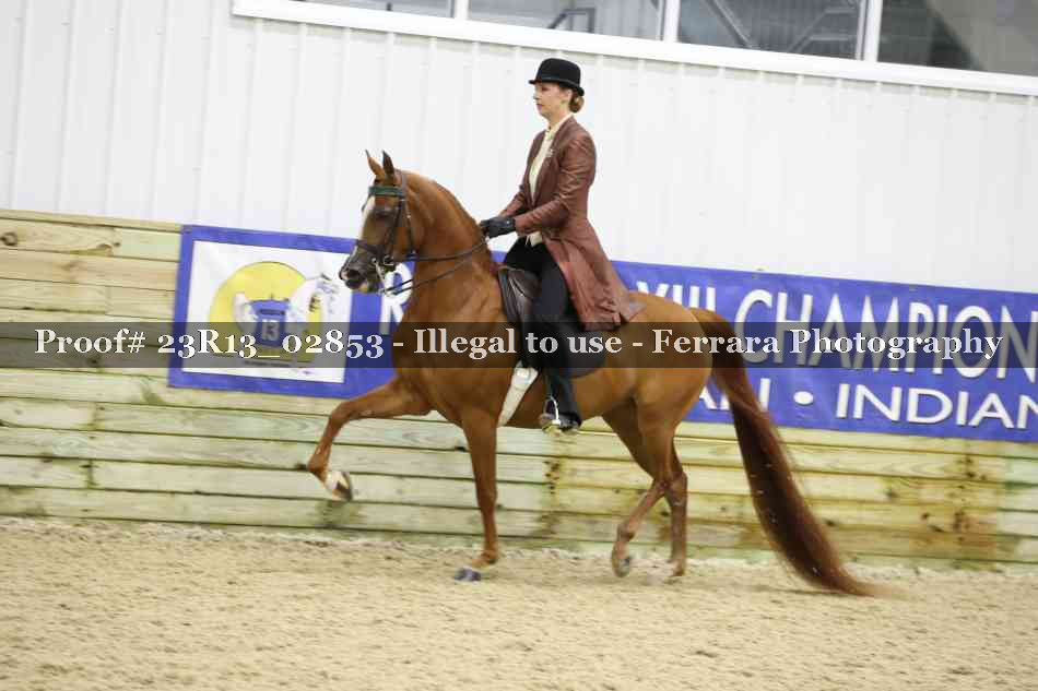 Proof 23R13_02853