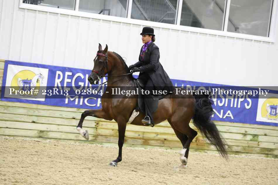 Proof 23R13_02864